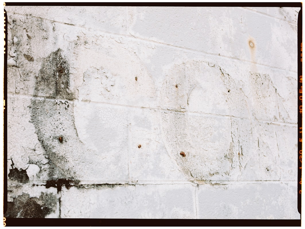 Mold Remediation service in Poinciana, FL