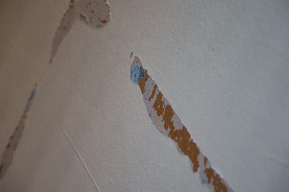 Mold Remediation service in Poinciana, FL